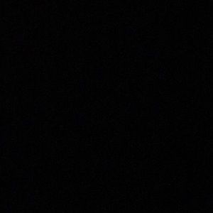 Meet your Posher, Isabel